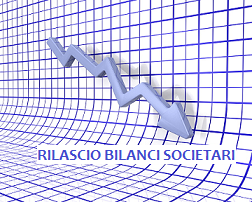 logo richiesta bilanci